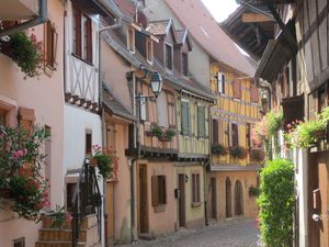 ALSACE 304