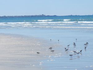 Bretagne 369