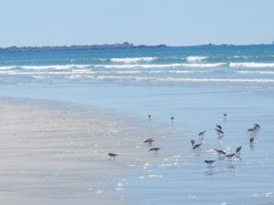 Bretagne 369