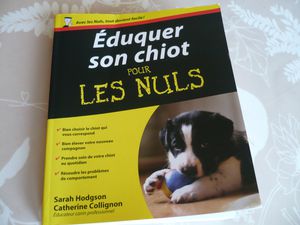 éduquer son chiot