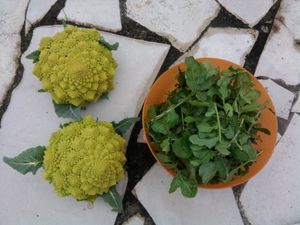 choux_roquette.jpg