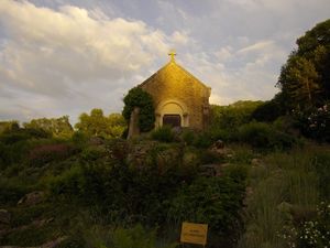 Jardin botanique nancy (47)