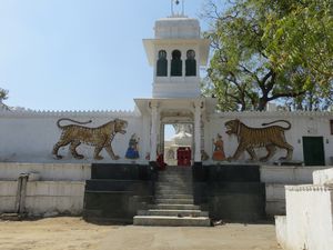 Travel-to-India-3191.JPG