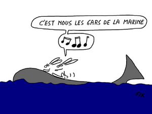 les gars de la marine 400-copie-2