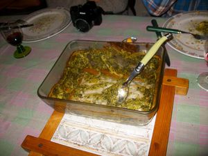 IMGP1138.JPG