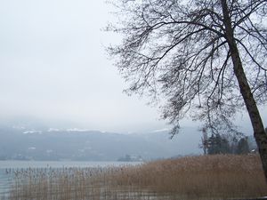 100_0870.JPG