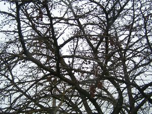 100_0896.JPG