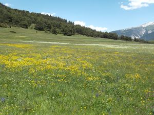DSCF4107.JPG