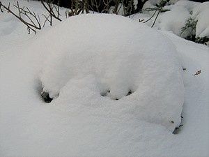 neige2 10 janv 10