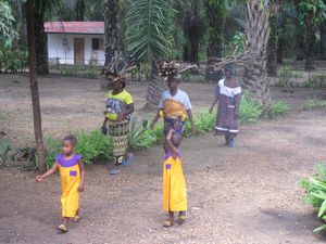 474 L'arrivée des mamans