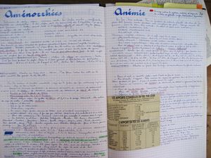 livre-noir-naturopathie-008.JPG