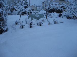 neige-a-Ales-08.03.2010-005.JPG