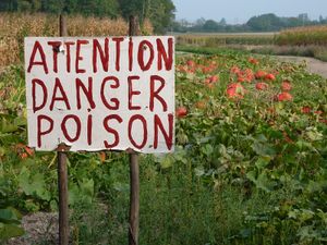 danger-poison