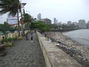 Bombay014