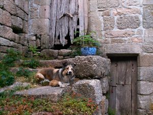 2009-08-24_20-16-04_1916.jpg