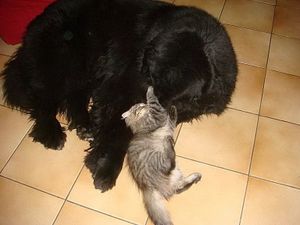 endless-love-0001.JPG