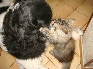 endless-love-0003.JPG