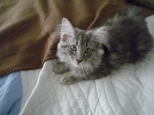 FLEUR-1.JPG