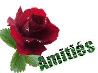 rose rouge amities