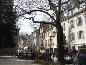 Dijon---Place-des-Ducs-2.jpg