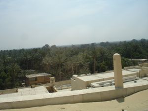 Saqqarah - Palmeraie
