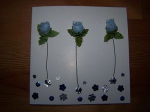 carte-de-voeux-bleue-05.08.2010.jpg