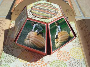 2009-08-25-Potager-27.jpg