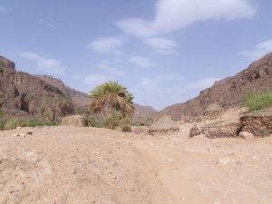 ALGERIE-octobre-2011-108.jpg