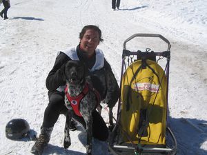 IMG 3811