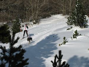 paul_larra_11-copie-1.jpg