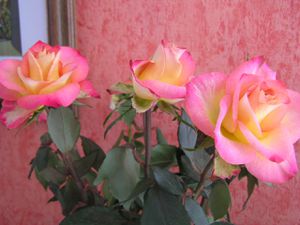 bouquet roses 03