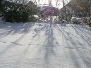 neige 2010 06