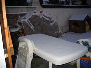 Jardin d'hiver 003
