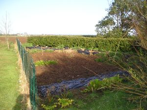 mon-potager-2010.jpg