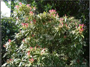 monjardin1