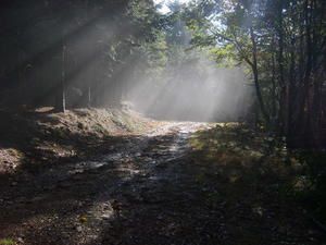 chemin-de-Stevenson--octobre-2007-056.jpg