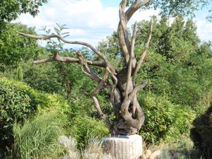 20100803_03082010_42.JPG