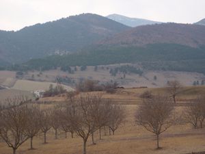 2011fevrier-013.jpg