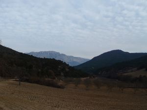 2011fevrier-016.jpg