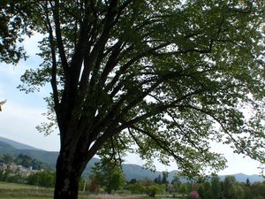 2011mai-083.jpg