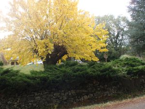 2011novembre-094.jpg