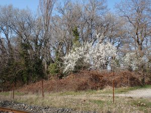 2012mars-021.jpg