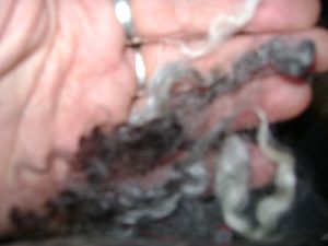 DSC05956