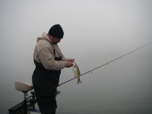 IMGP2932--Large-.JPG