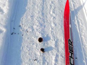 BILD0496