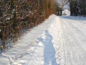 BILD0498