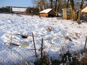 BILD0502