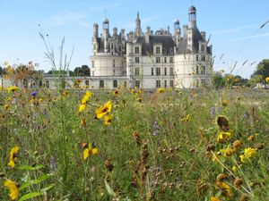 chateaux-chambord-france-1134640173-1111535.jpg