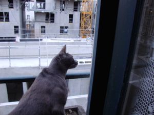 2010_0318sony20343.JPG