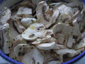 salade-de-champignons.JPG